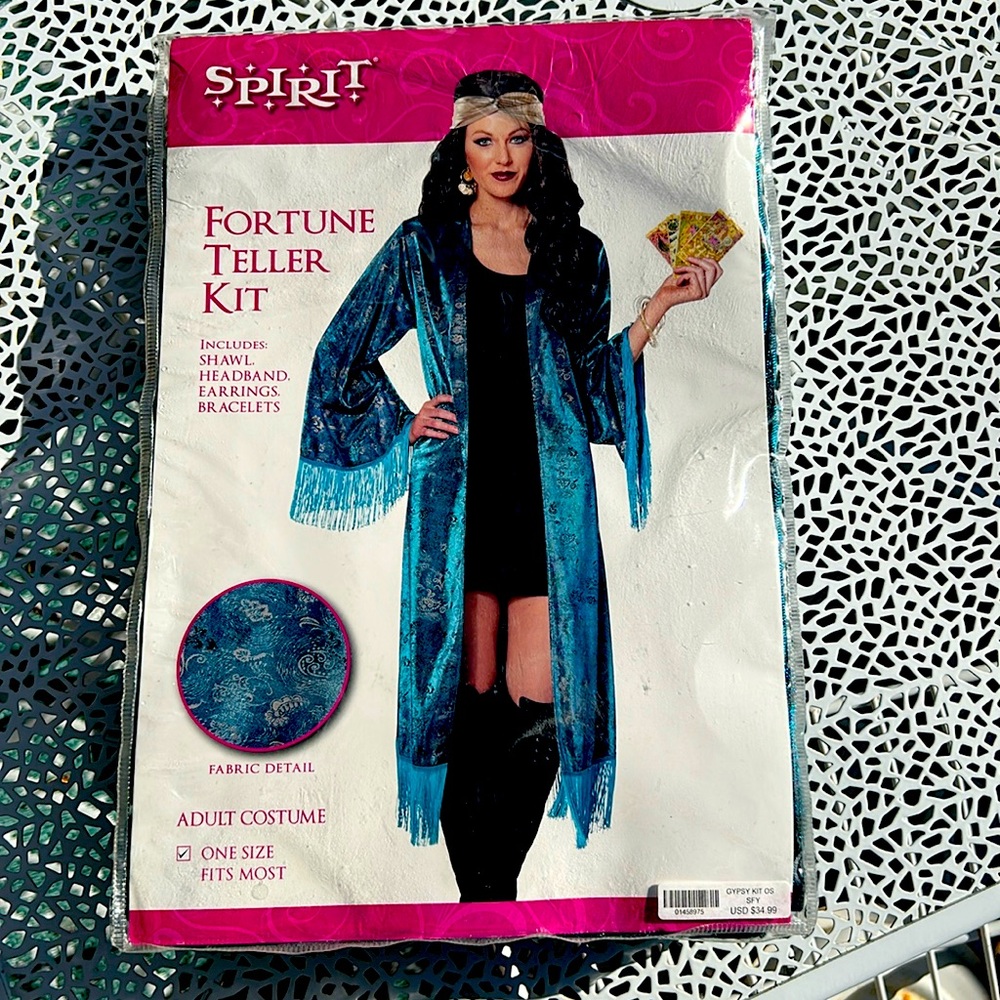 Spirit Fortune Teller Kit Costume - one size